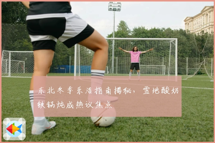 东北冬季乐活指南揭秘，雪地酸奶铁锅炖成热议焦点